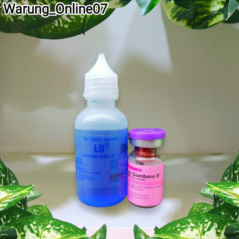 Vaksin Ayam Medivac Gumboro B Dosis 1000 Ekor Untuk Ayam Umur 7 - 40 Hari Vaksin Anti Penyakit Gumbo