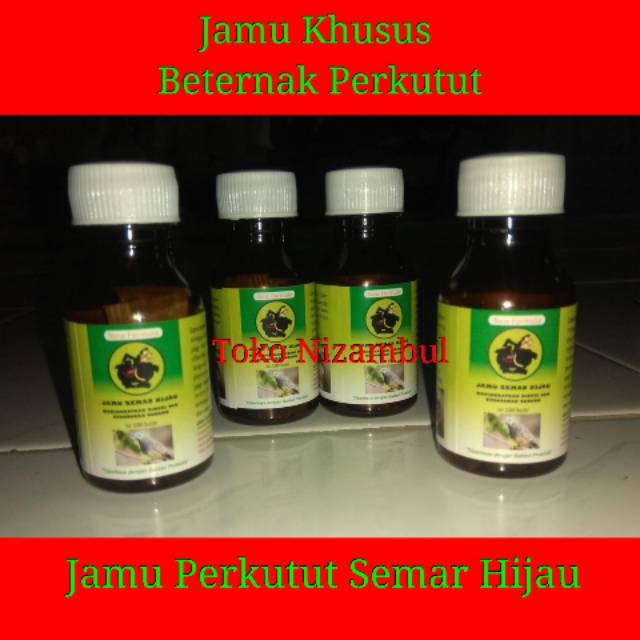 Jamu perkutut semar hijau