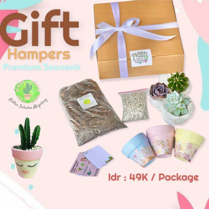 Gift Box Hampers Wisuda Kado Ultah 3 Pot Lukis 3 Kaktus Sukulen Free Metan Batu Hias Pita Kartu Ucapan