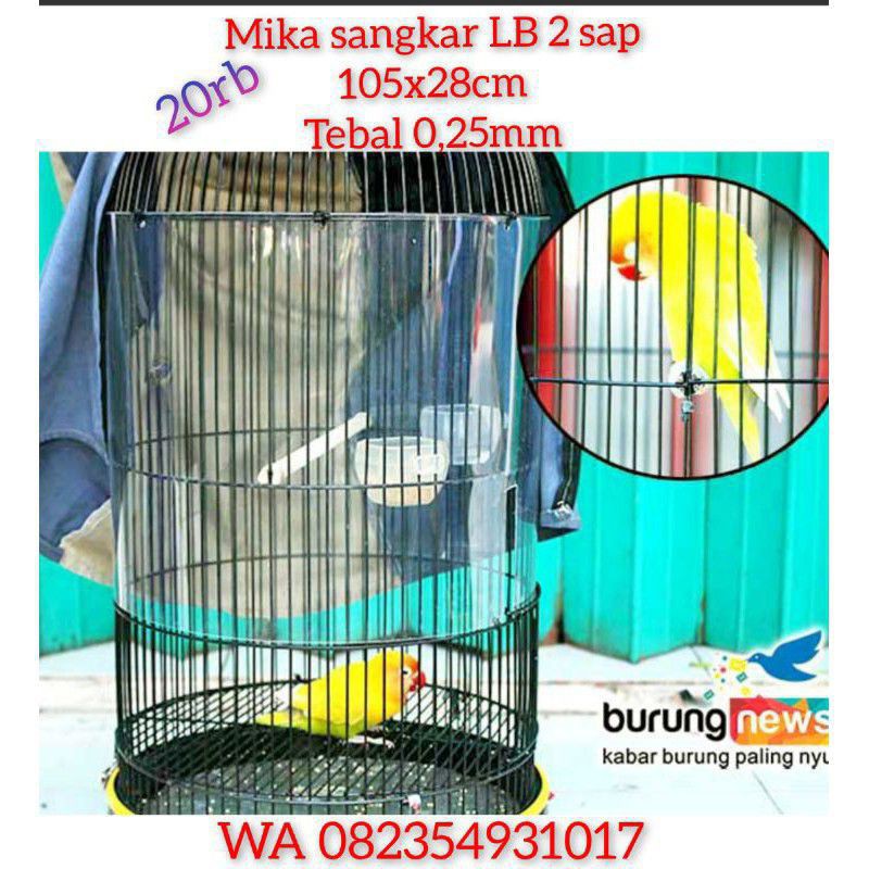 mika keliling sangkar burung lovebird 2 sap terapi lovebird jeruji nakal kenari nemplok Kacer jari