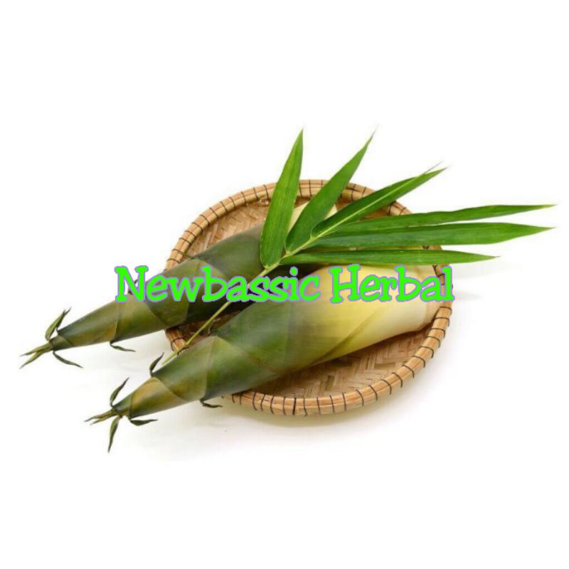 

rebung bambu segar 1kg