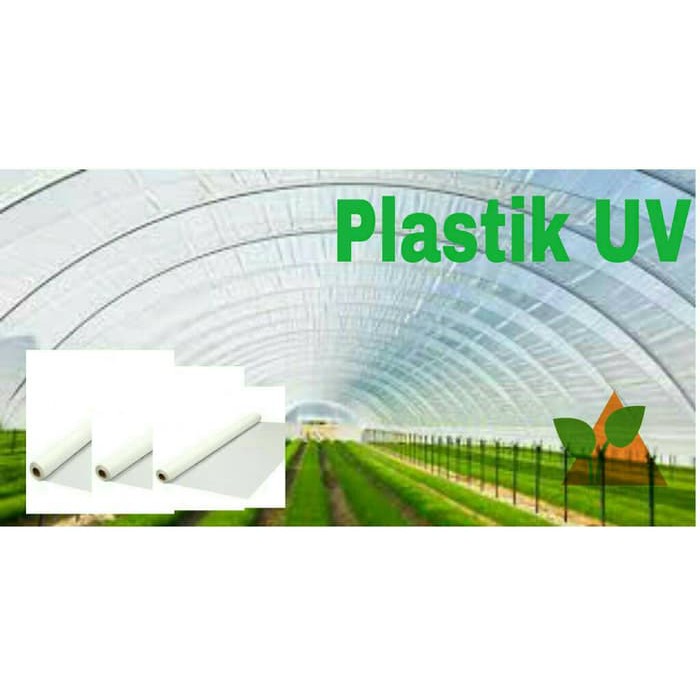 Terlaris Plastik UV   Untuk Atap Green House 10 meter Diskon