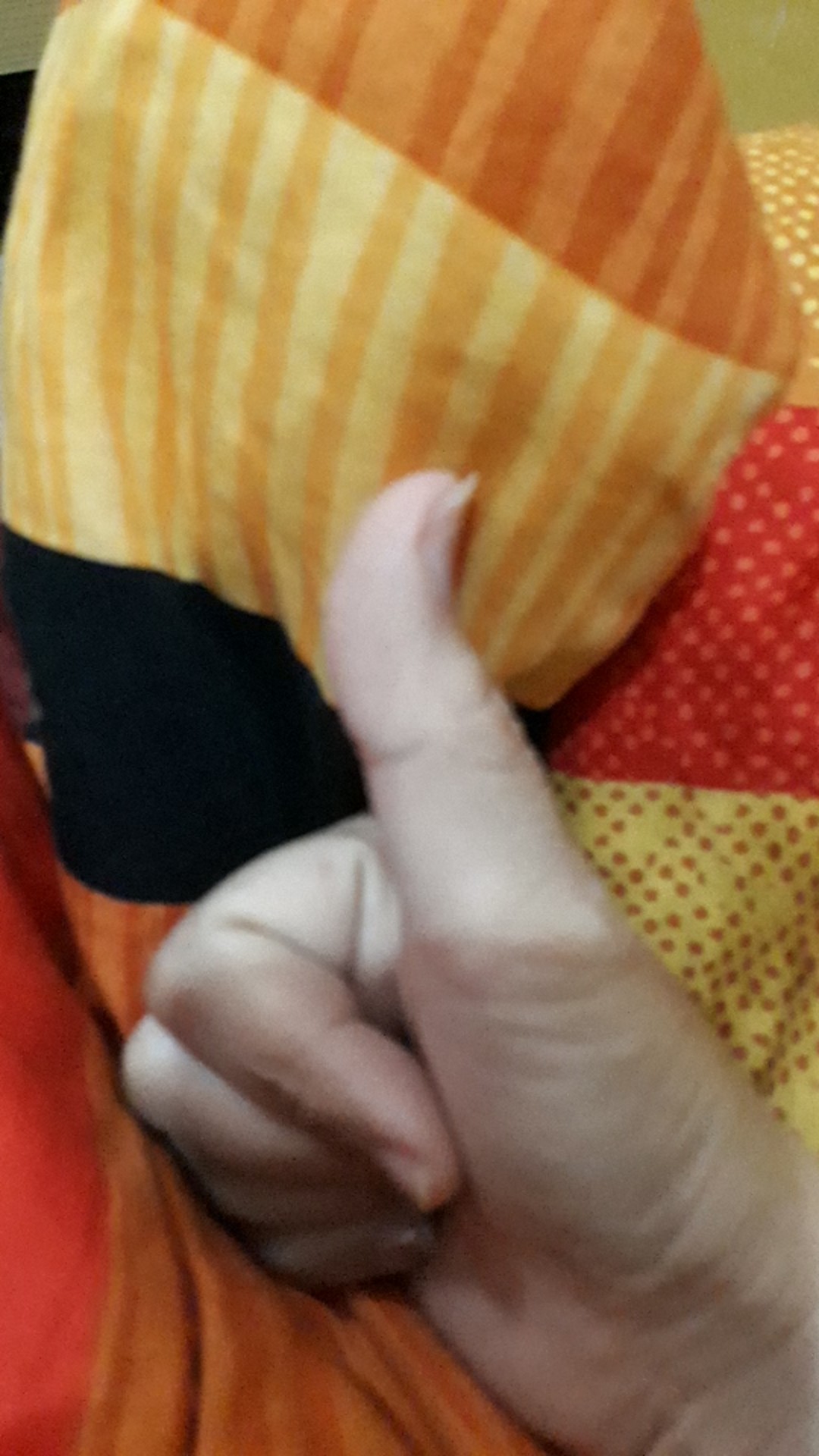 Mini Dolpin Cartoon Series