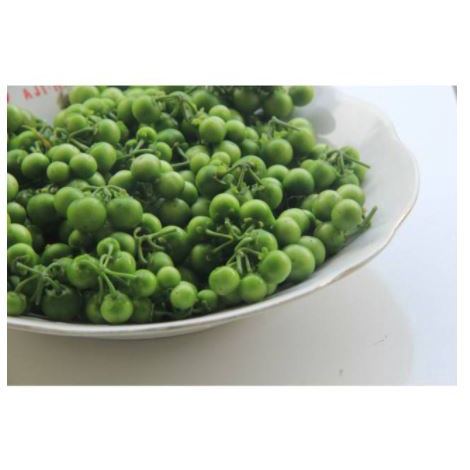 

Grosir 100 gram Leunca Lenca Lalap Segar Murah