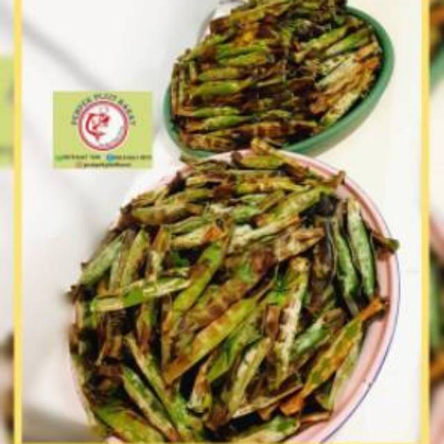 

Otak2 20 pcs