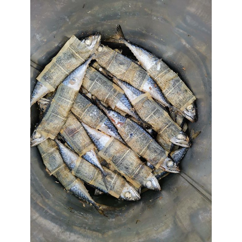 

pindang salem 1 ikan