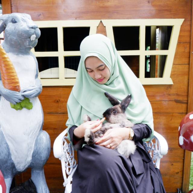 darmayantisyafar