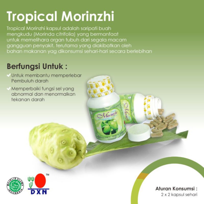 DXN Tropical Morinzhi / Herbal Hipertensi