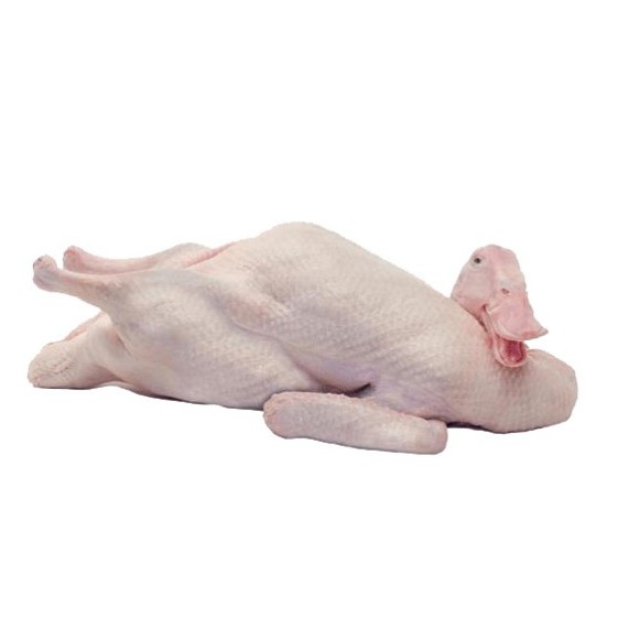 Bebek Peking Karkas Frozen Utuh ukuran 1,1kg - 1,2kg