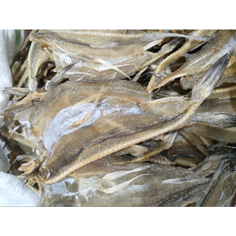 

IKAN ASIN JEMBRONG IKAN ASIN KERUPUK