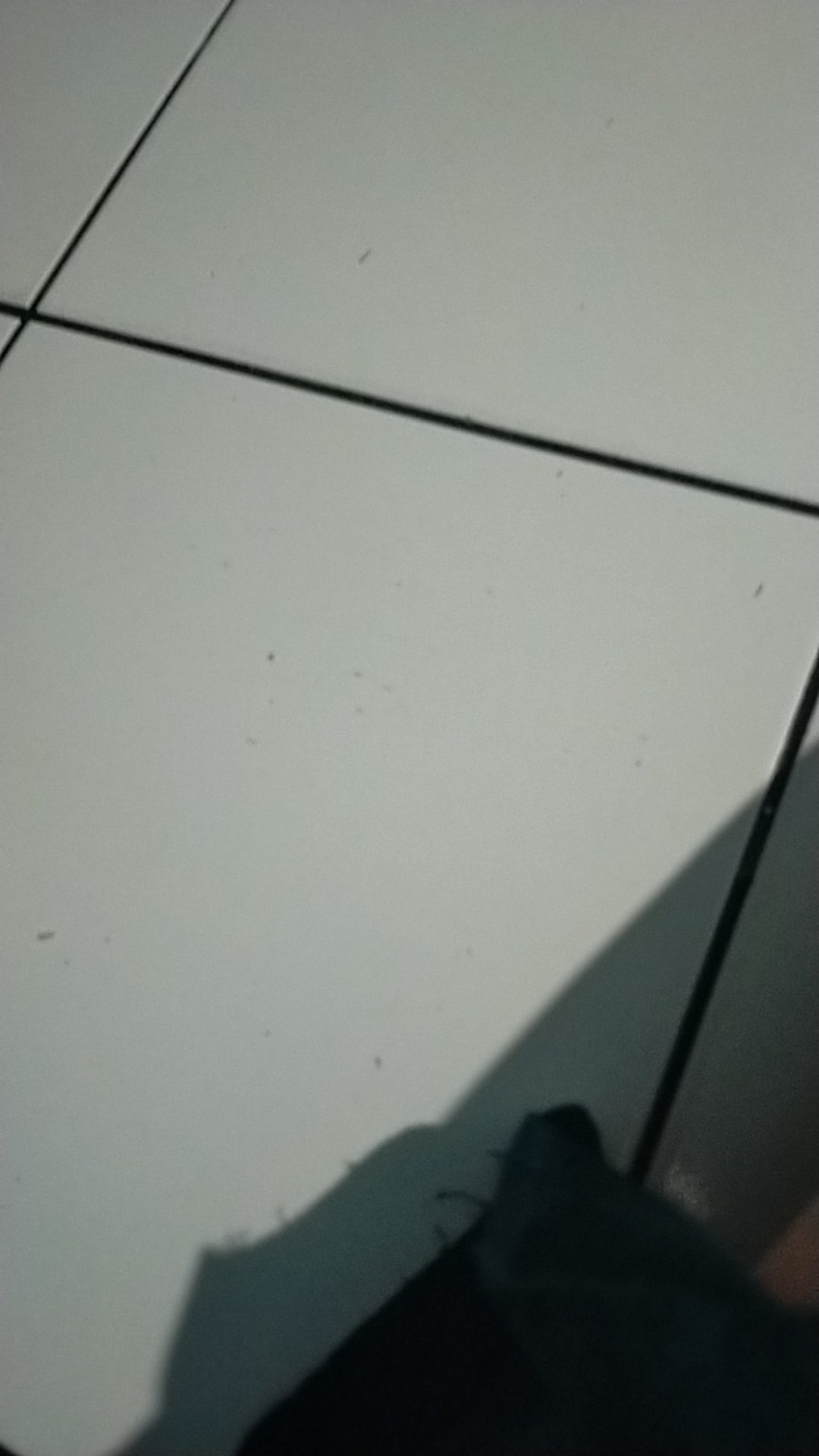 Banyak Diskon!!! Kantong Plastik Kresek Ungu Merk Garuda  Ekonomis Uk 21