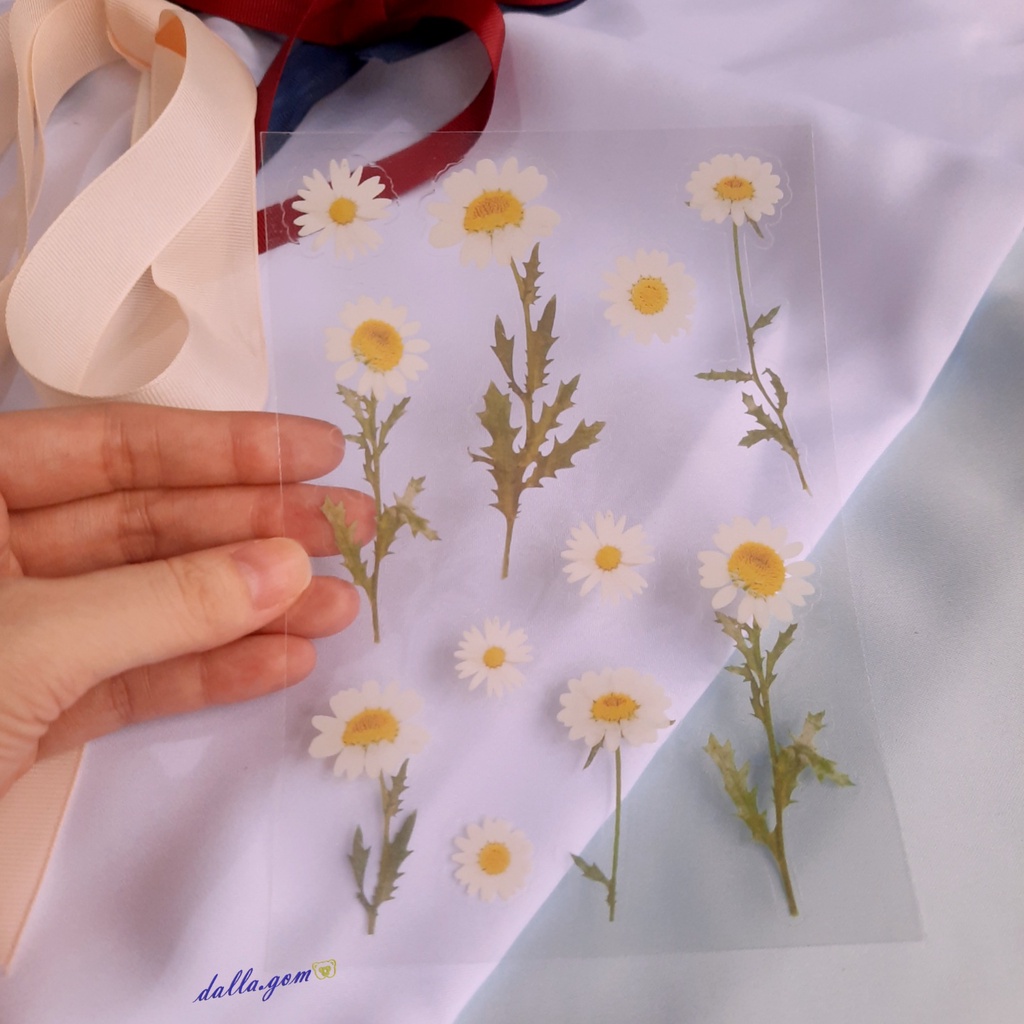 

Sticker Transparant Aesthetic Waterproof Flower Series for Scrapbook Journal / Stiker Bunga Transparan Anti Air – dalla.gom