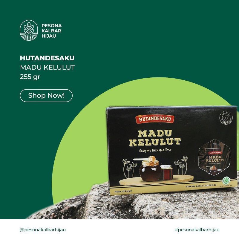

madu kelulut