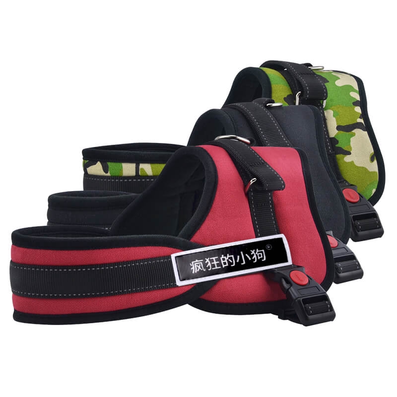 Tali Tuntun Anjing Ukuran Medium Warna Emas Shopee Indonesia