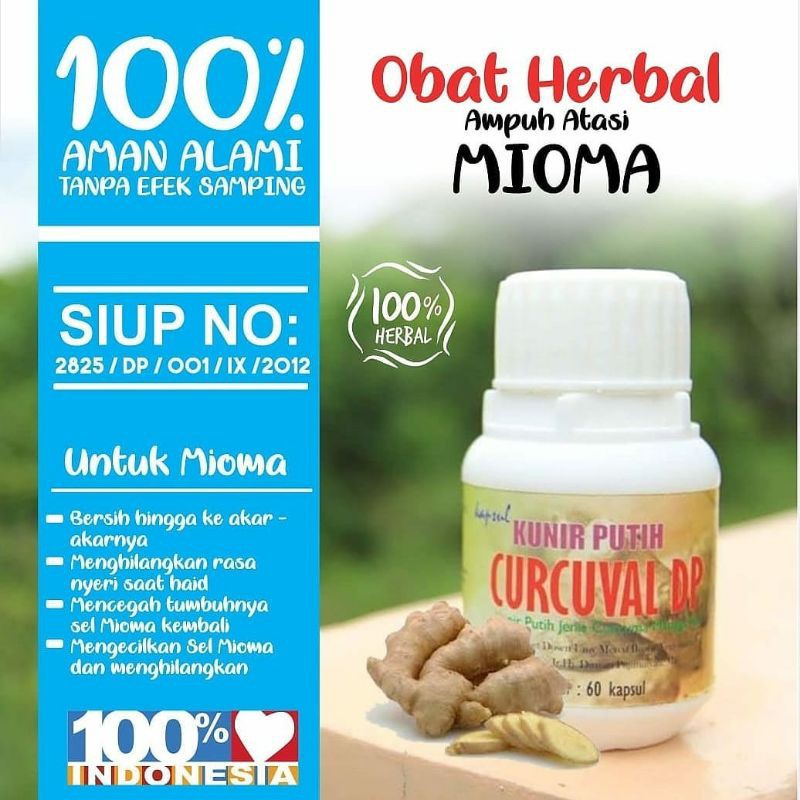 Paling Dicari Kunir Putih Kapsul Curcuval Prof Dwiyati / kunirputihcurcuvaldp  Untuk Kesehatan
