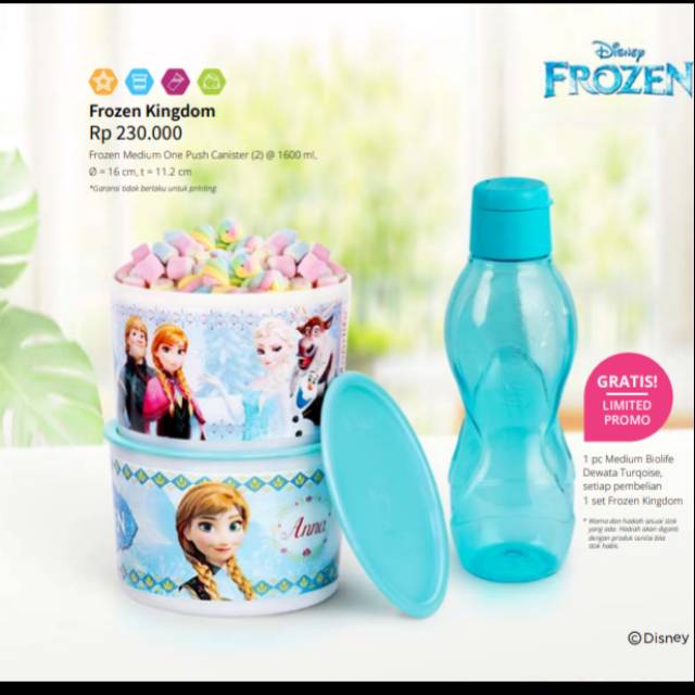 Frozen Kingdom Rp.230.000