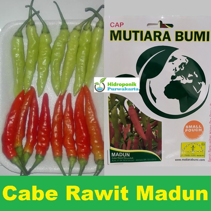 BENIH CABE CABAI RAWIT MADUN CAP MUTIARA BUMI ISI 500 BUTIR