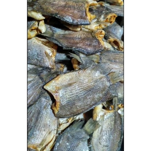 

Ikan tembakang