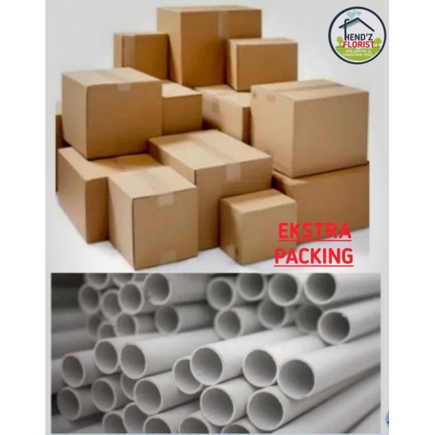 

Ektra Packing Tambahan