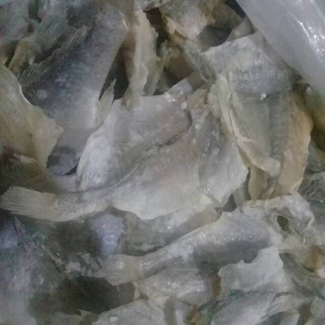 

Ikan asin batu