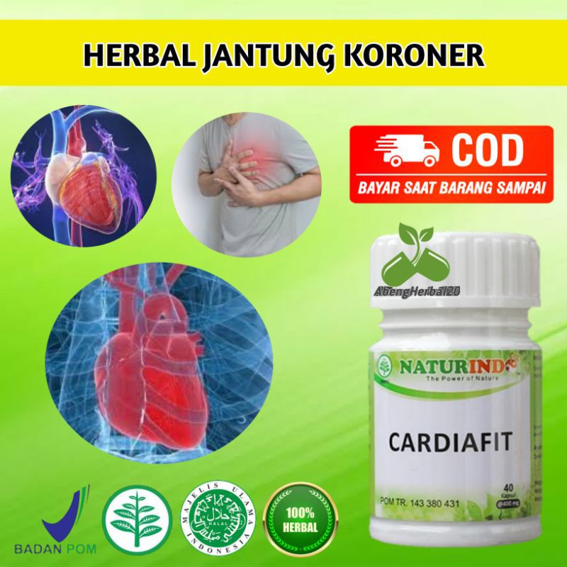 Obat Herbal Jantung Koroner Obat Jantung Lemah Obat Jantung Herbal CARDIAFIT Naturindo-1