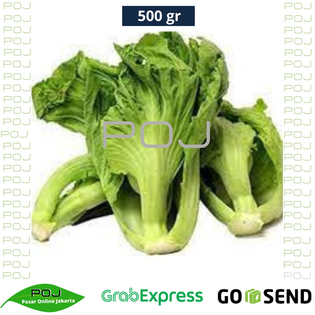 

Sawi Pahit 500 gr✓Sawi Pahit Segar✓Sawi Pahit Fresh✓Sawi Pahit Hijau✓Sayur Sawi Pahit✓Hijau✓POJ