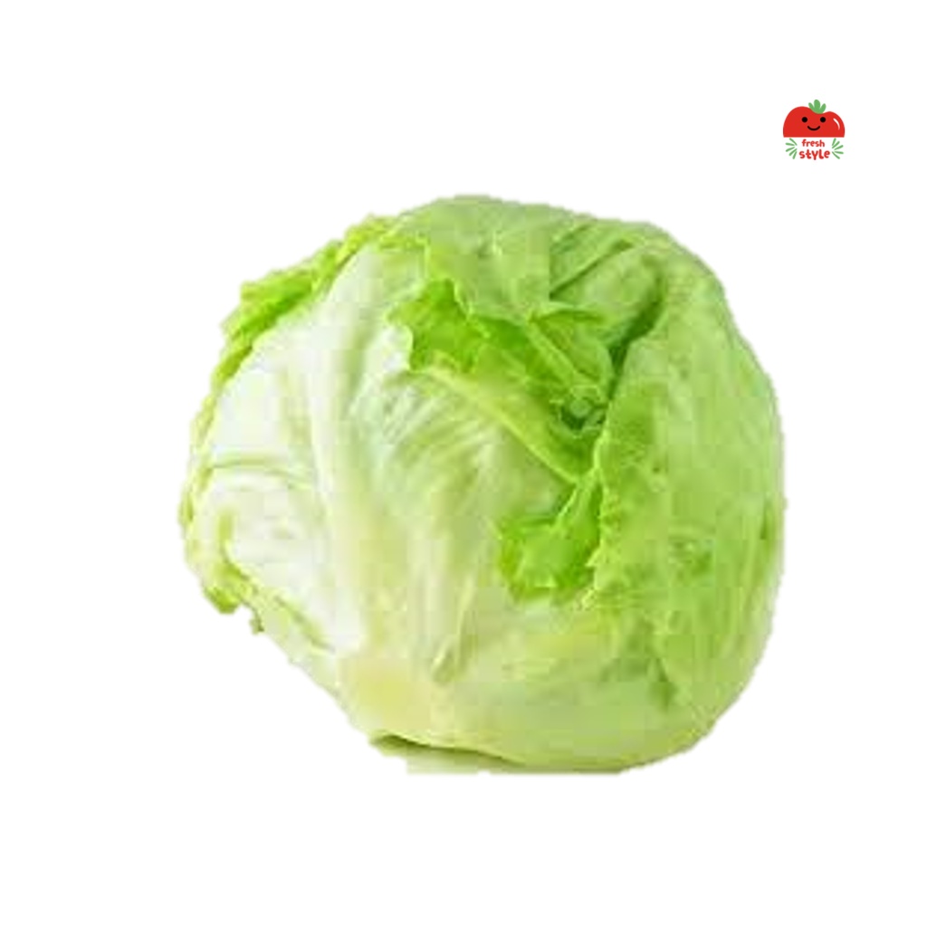 

Lettuce Head