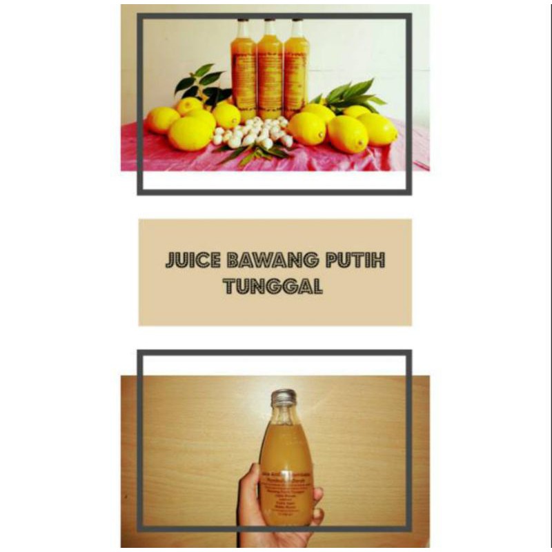 

jamu bawang putih tunggal