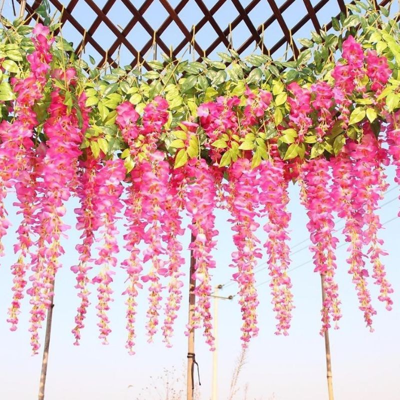 [ 1 Lusin/12 pcs ] WISTERIA GANTUNG JUMBO / Bunga Wisteria Besar warna Putih