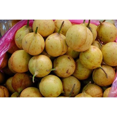 

BUAH PALA SEGAR / FRESH 500 gram tanpa dikupas