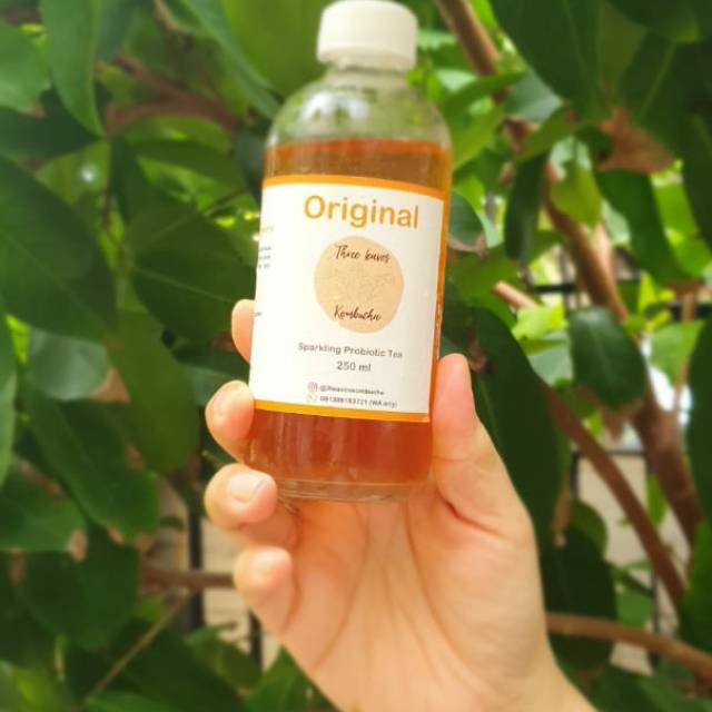 

MINUMAN KESEHATAN kombucha ORiGINAL