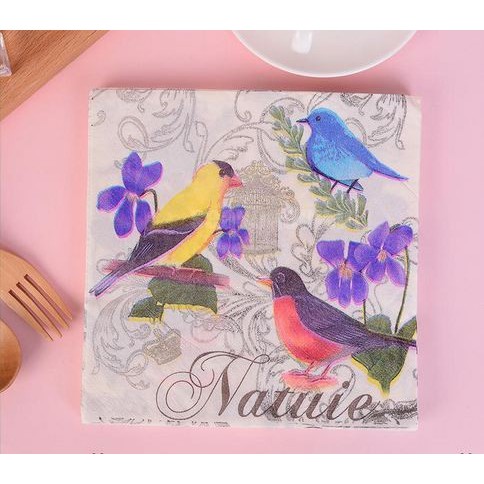 Decoupage Napkin - Tissue Decoupage 2Ply AN - Natuie Birds