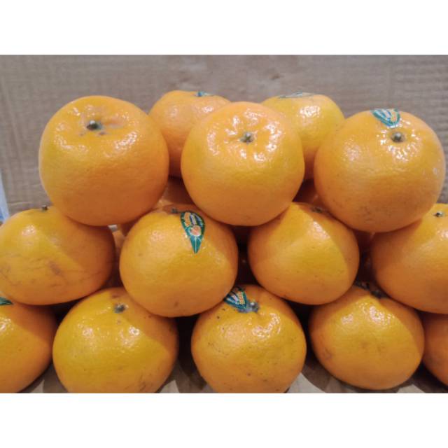 

Buah jerk kino import 1 kg