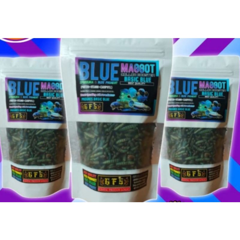 

Blue maggot