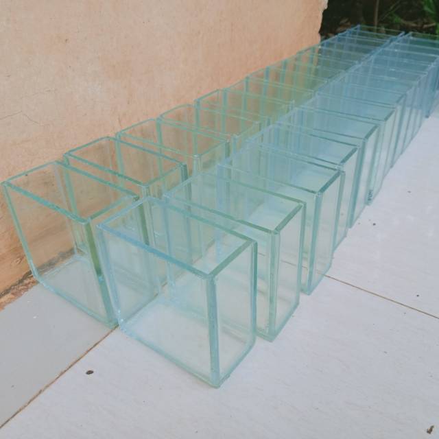 Soliter cupang soliter ikan cupang soliter selfie  soliter mini soliter sekat 2 soliter sekat 4