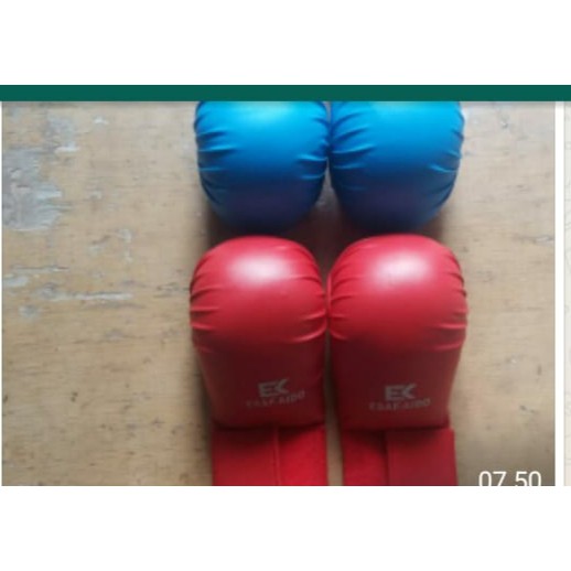 Karate Handpro Esakaido