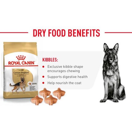 Royal Canin German Shepherd Adult 11kg 11 kg Makanan Anjing Dog Food