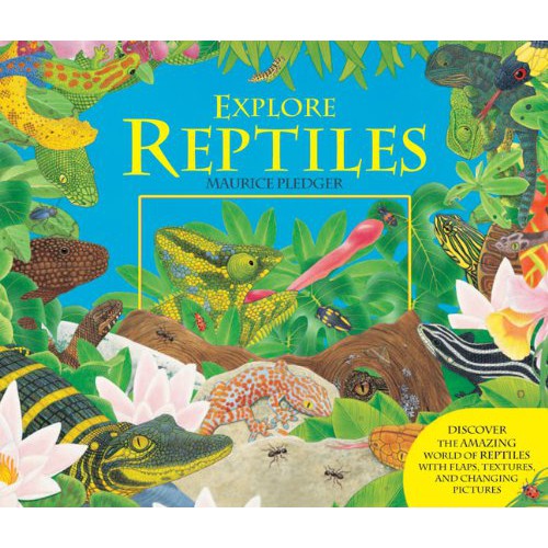 Explore Reptiles by Maurice Pledger