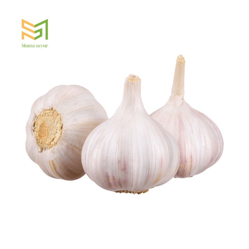

Bawang putih segar per pack