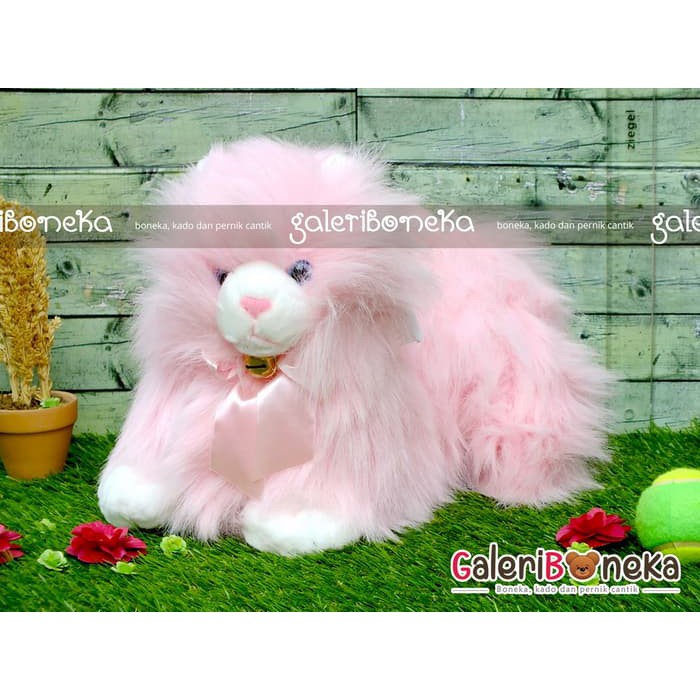 Boneka Kucing Anggora Pink ( HK - 201055 )