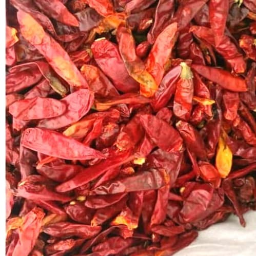 

Cabe rawit setan kering.caberawit setan lokal kering.extra pedas.250gr