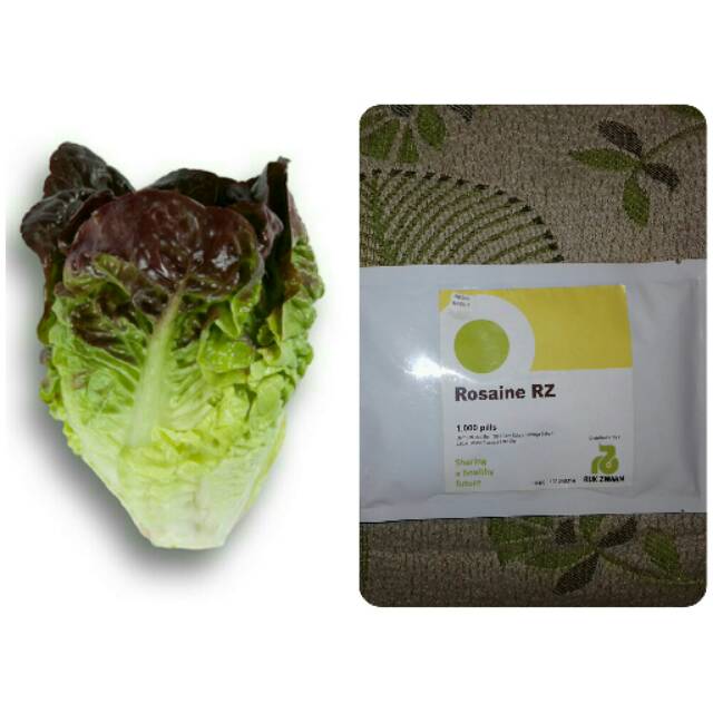 1000 pills Benih ROSAINE RZ Little Gem Lettuce mini Red Romaine Rijk Zwaan, original packing