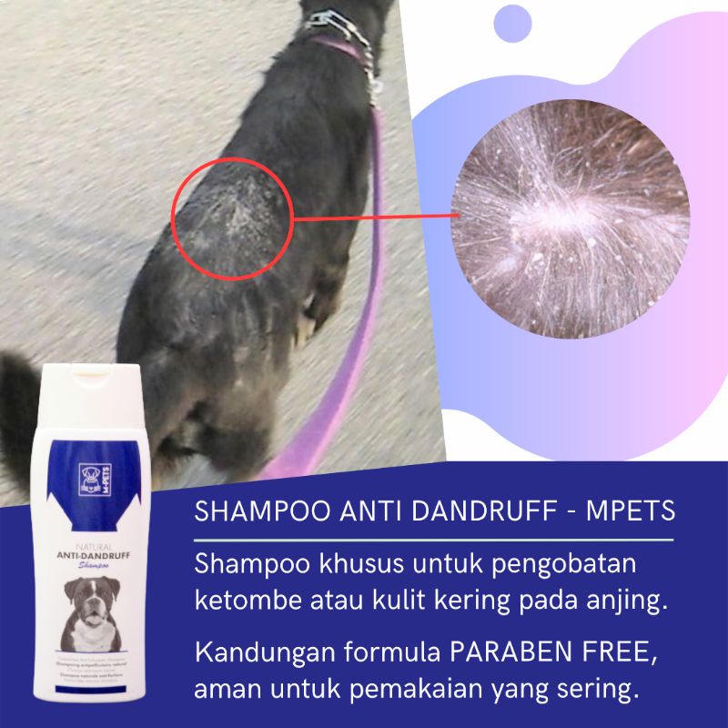 Shampoo Anjing Anti Dandruff Anti Ketombe