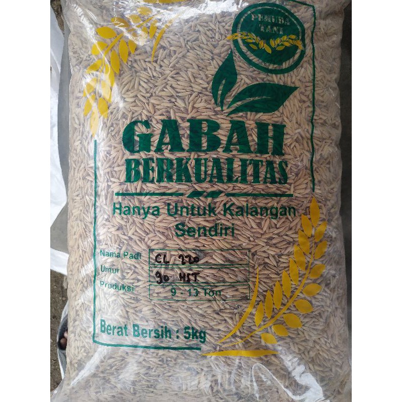 Benih padi CL 220 5kg