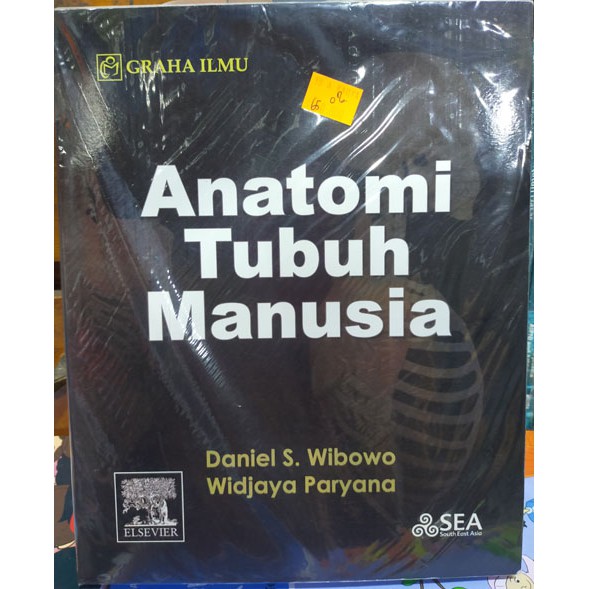 Anatomi Tubuh Manusia