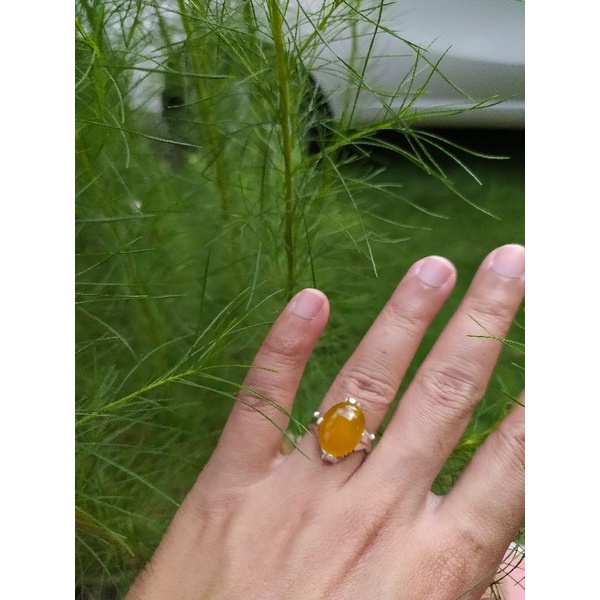 batu akik kuning hiriz syarafusyams (ring bahan perak persia)