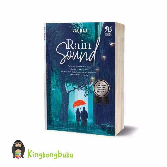 RAIN SOUND