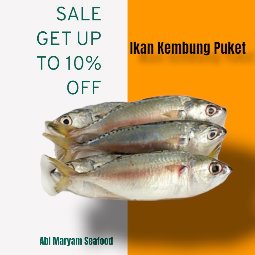 

Ikan Kembung PUket Sega Fresh Berkualitas 1kg