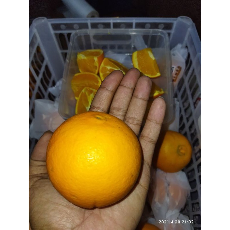 Jeruk Sunkist Navel China RRC