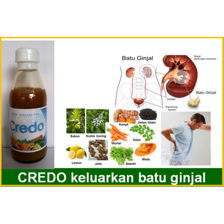 

Ay00! Sirup Credo Herbal, Sano 125ml